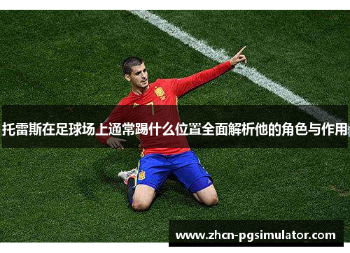 托雷斯在足球场上通常踢什么位置全面解析他的角色与作用