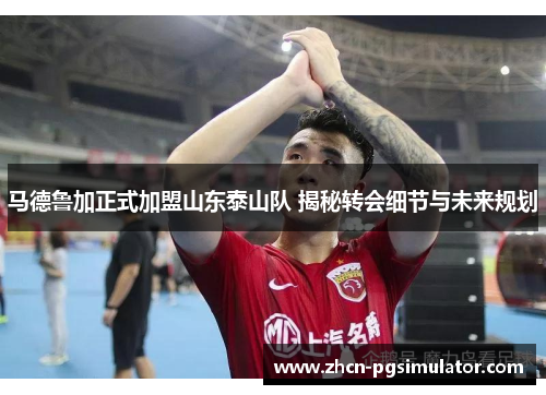 马德鲁加正式加盟山东泰山队 揭秘转会细节与未来规划