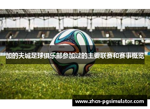 加的夫城足球俱乐部参加过的主要联赛和赛事概览