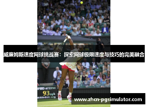 威廉姆斯速度网球挑战赛：探索网球极限速度与技巧的完美融合