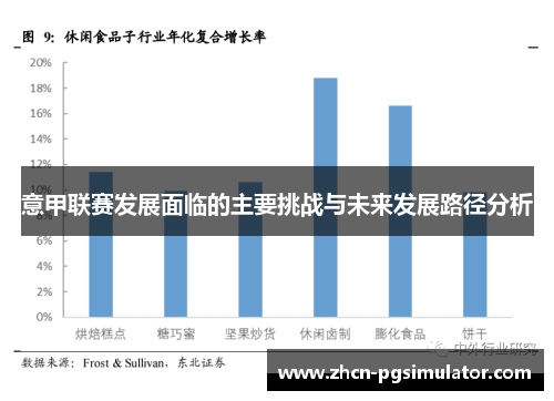 意甲联赛发展面临的主要挑战与未来发展路径分析 意甲联赛发展面临的主要挑战与未来发展路径分析