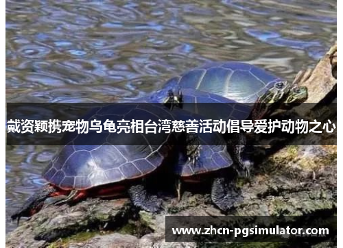 戴资颖携宠物乌龟亮相台湾慈善活动倡导爱护动物之心 戴资颖携宠物乌龟亮相台湾慈善活动倡导爱护动物之心